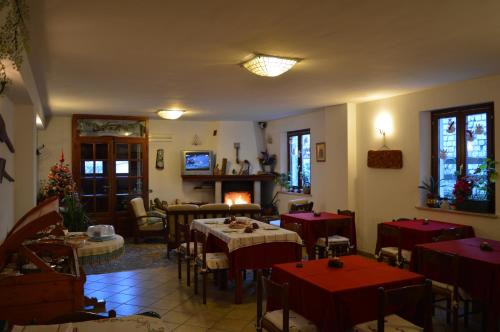 B&B Dulcamara