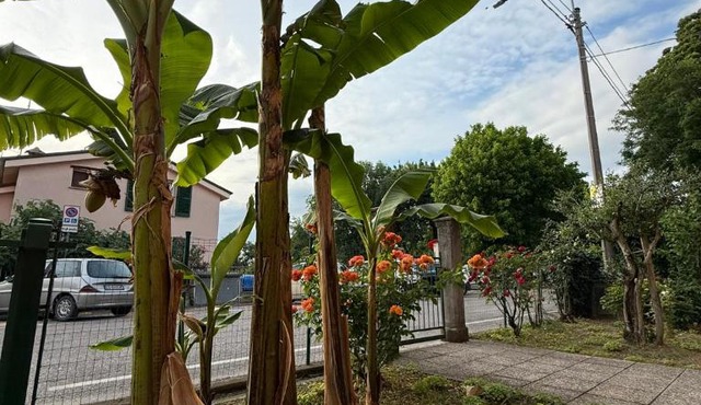 B&B Il Balcone Fiorito