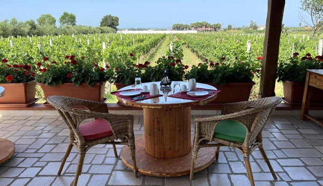 B & B Vigna Di Filippo - Paestum