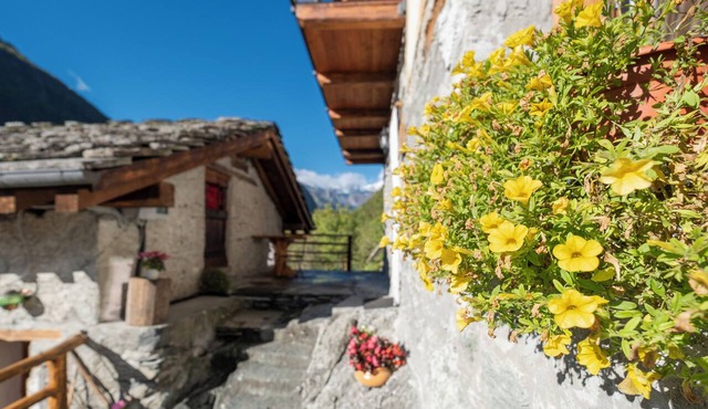 Baus's Cabins. Baita della Meridiana: Small, Cozy, Warm, with a Panoramic View