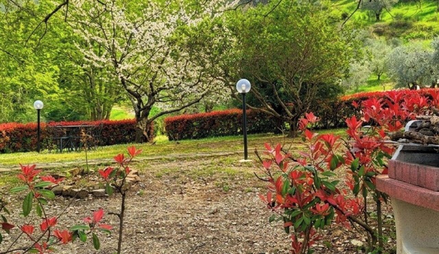 Beautiful apartment for 5 people with WIFI, private pool and pets allowed