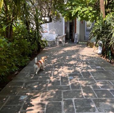 Bellavista garden house Maratea