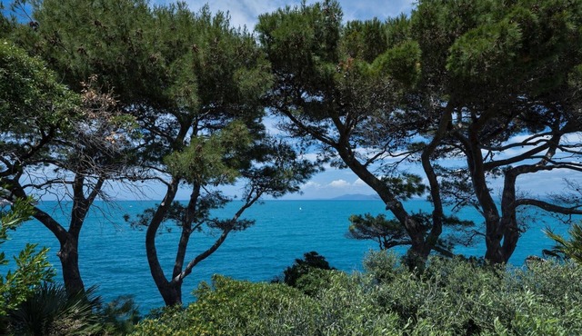 Bellavista, Punta Nera, Monte Argentario, Grosseto and Maremma
