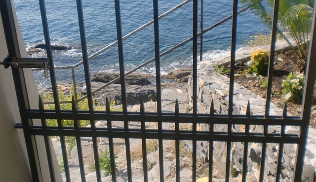 Blue villa with private access to the sea of the Golfo Paradiso