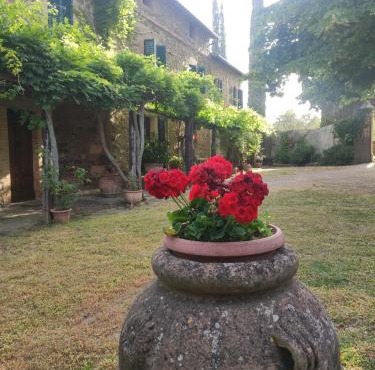 Borgo Villa a Tolli