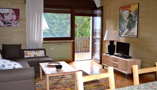 Brand new three-room apartment a stone's throw from the slopes (you can get there on foot!)