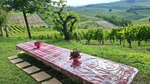 Cà Trifolera Barbaresco - Apartament nelle Langhe - ROMANTICO CASCINALE NEI VIGNETI CON CANTINA
