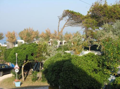 Camping La Pineta