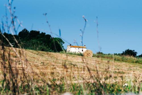 Casa di campagna, pace e natura, sotto la Maiella - Agricasa Caprafico