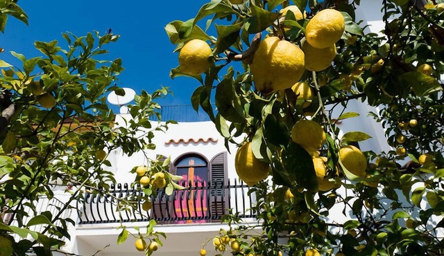 Casa Vacanza La Limonaia