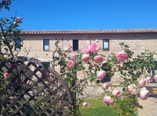 Casale Il Cantico della Tenerezza