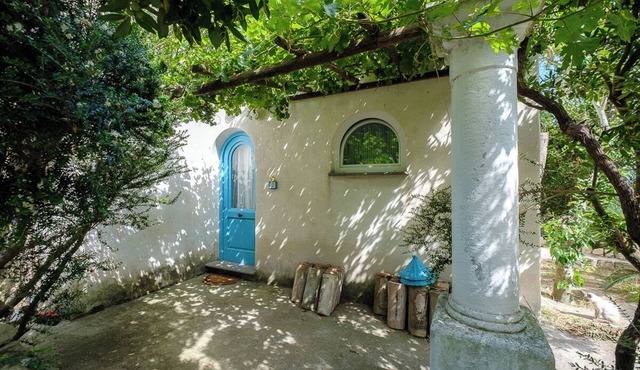 Cottage by the sea surrounded by greenery