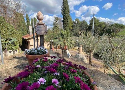 Country house in Maremma Villa Mafalda