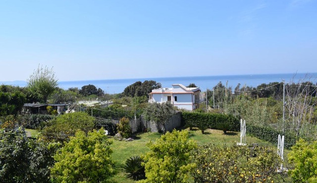 Depandance del Leone di mare