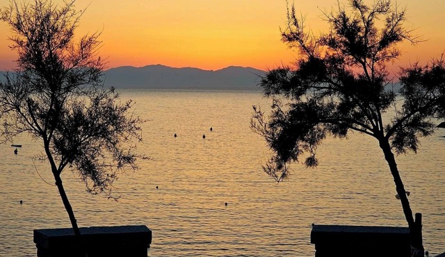 Detached cottage in a quiet area, part by the sea and part in the mountains, August 1–8, Pomonte