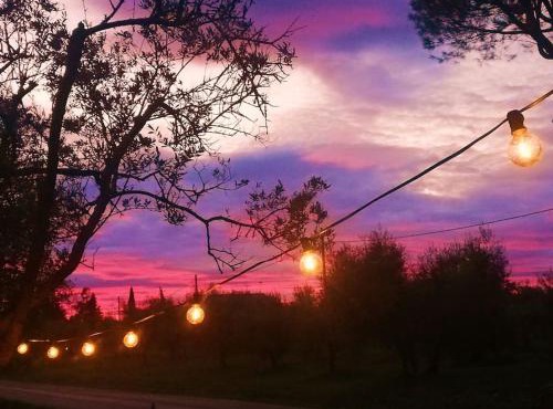 Dolce campagna