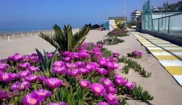 Flat 'Mare Blu 3' near the beach