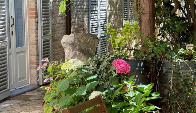 Garden, right in the center, 7 km from the sea
