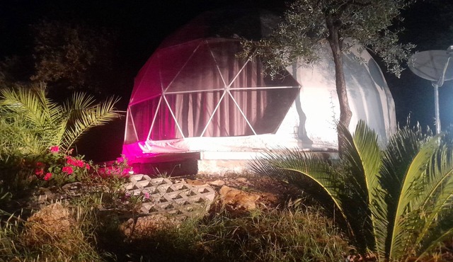 Glamping With Domes in a Organic EVO Farm