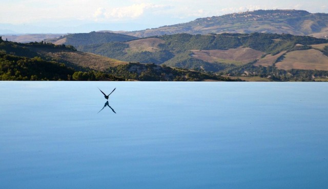 Holiday, where Tuscany is still authentic. 16th c. Villa, Infinity Pool: Ginepro