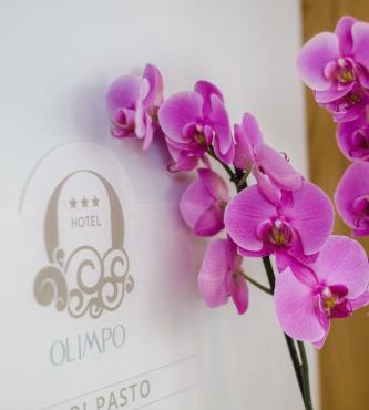 Hotel Olimpo