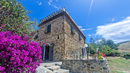 Il Castello degli Ulivi - Agriturismo in Natura