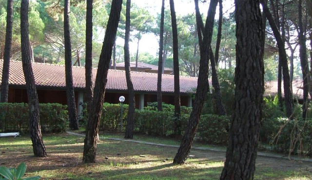 Il Gamberetto