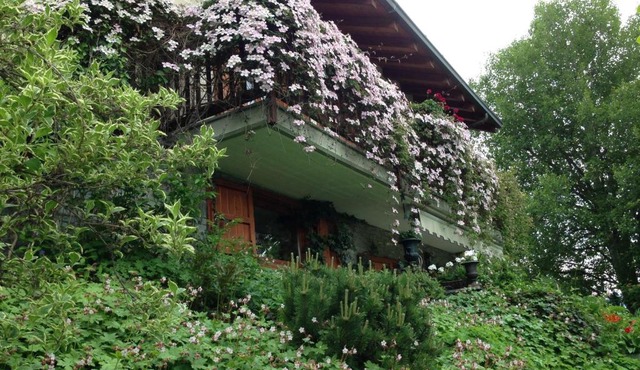 Il Giardino Dell'Artemisia