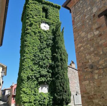 Il Grottino