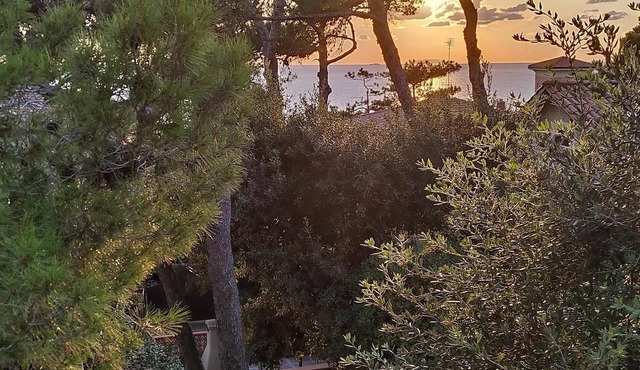 Villa surrounded by greenery at 300 meters from the sea