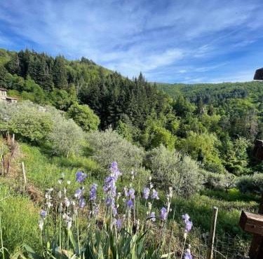 La casina romantica nel borgo, privacy e relax