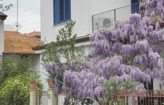 La Suite Di Rita