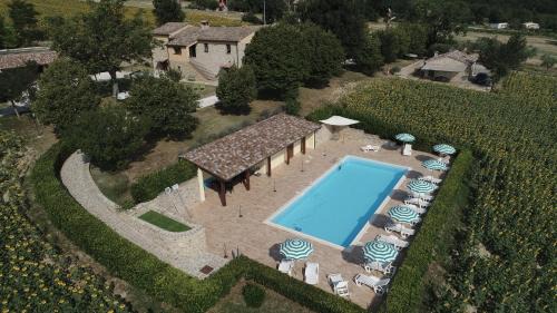 Le querce in Serra San Quirico