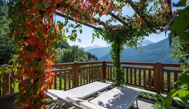 Lovely apartment for 4 guests with WIFI, TV and pets allowed
