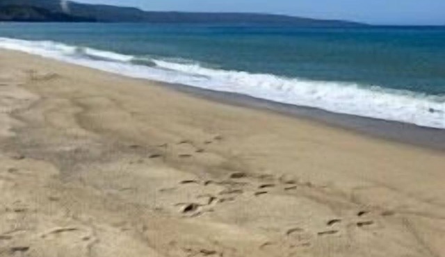 Lovely ground floor apartment with a garden, 5 minutes walk to a sandy beach