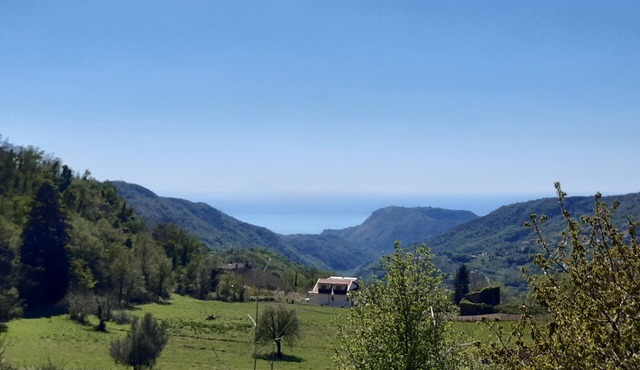 Mazzotti Estate:Just 12km from the Amantea sea and only 8Km from the Potame mountains