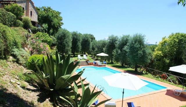 Nature and relax in agriturismo Podere Luchiano with private swimming pool