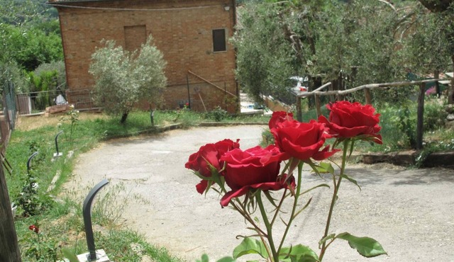 Nice apartment in a quiet area a stone's throw from the historic center