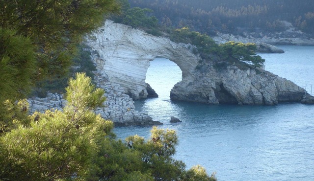 Nice apartment with AC, in beautiful national park
