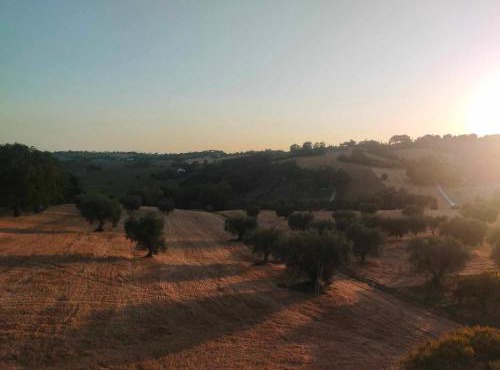 Oasi verde