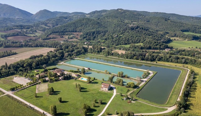 Pet friendly home in Montone with swimming pool