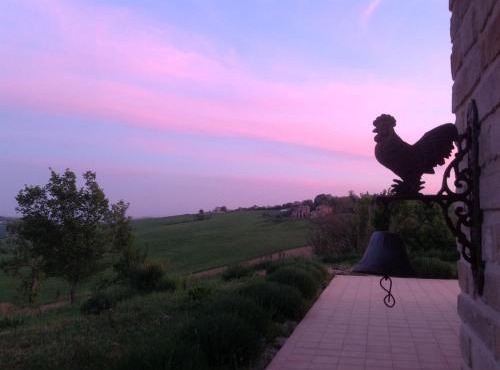 Poggio delle Lavande