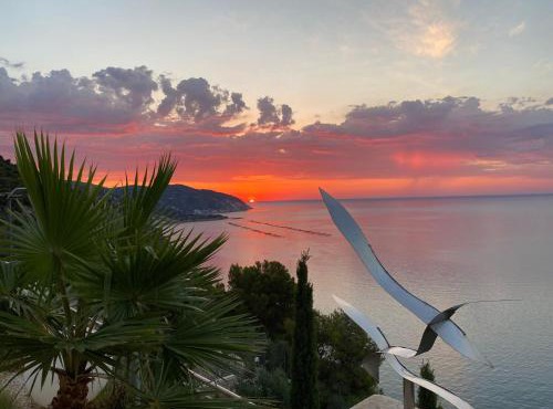 Punta Palivi
