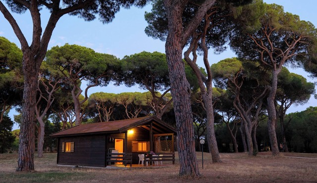 Residence La Canova II