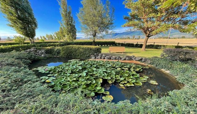 Sleeps 11. Italian holiday house with private pool just amazing - exc yours!