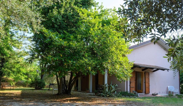 Stunning home in Fano with WiFi