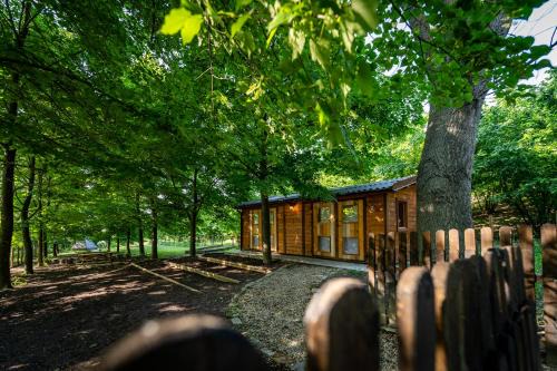 Tiny House - Gilda e i suoi amici