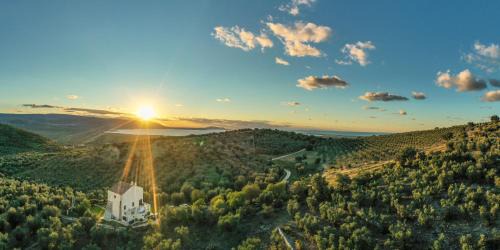 Torre Bruno