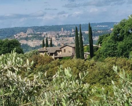 Tra gli ulivi e il panorama