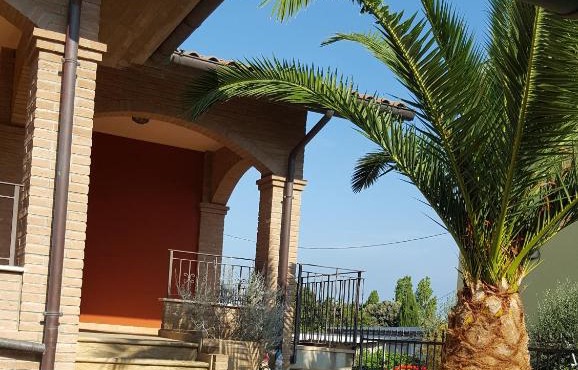 Tulipano Appartamenti